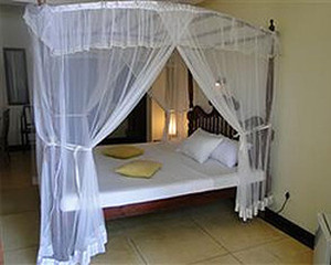 Standard image preview