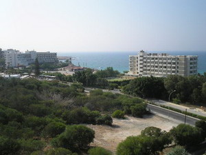 image preview