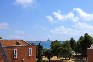 image preview