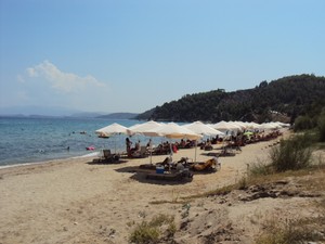 image preview