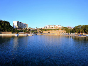 image preview