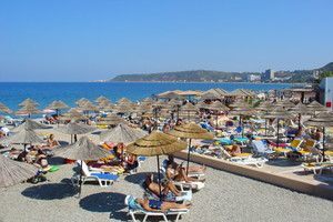 image preview