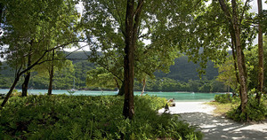 image preview