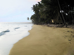 image preview