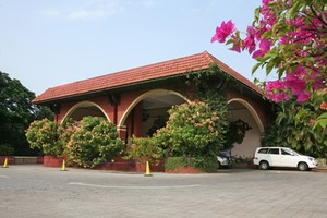 image preview