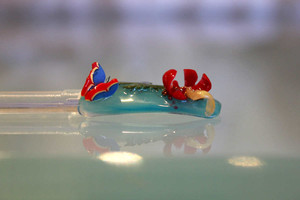 image preview