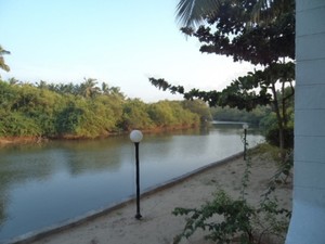 image preview