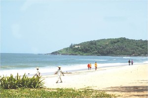 image preview