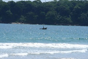 image preview