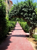 image preview