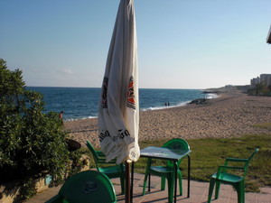 image preview