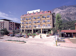 image preview