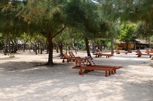 image preview