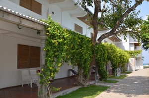 корпус с номерами Deluxe image preview