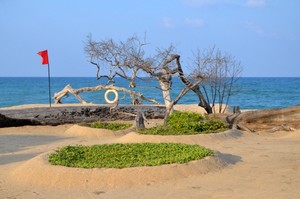 image preview