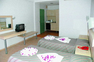 image preview