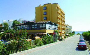 image preview