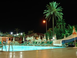 image preview