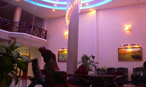image preview