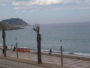 image preview