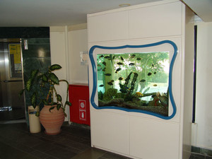 Холл image preview