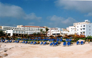 image preview