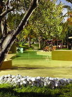 Eternal Oasis. Общий вид