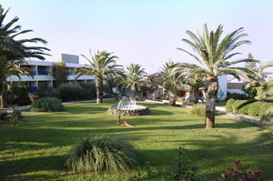 Территория image preview