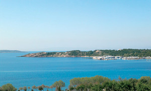 image preview