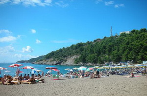 image preview