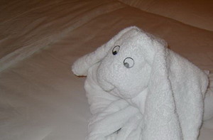 Towel art! image preview