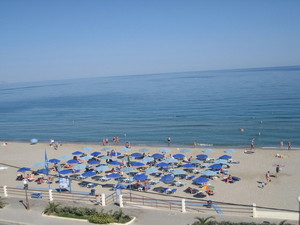 image preview