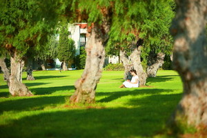 image preview