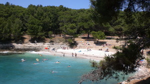 image preview