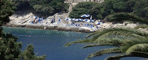 image preview