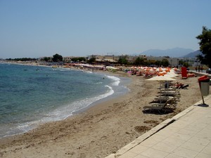 image preview