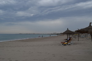 image preview