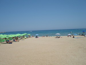image preview