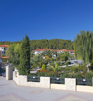 image preview