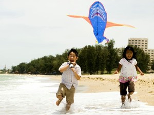 image preview