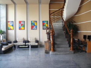 image preview