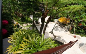 image preview