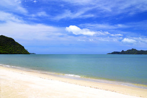 image preview