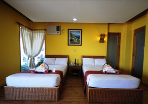 image preview