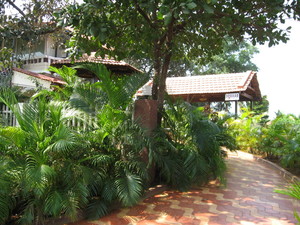 image preview