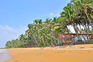 image preview