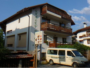 image preview