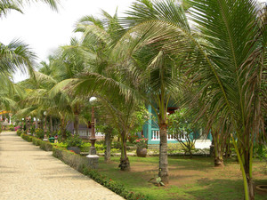 image preview