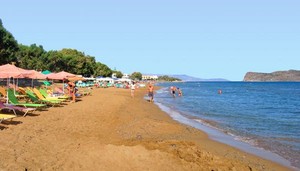 image preview