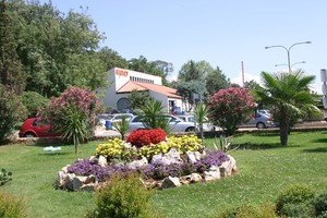 image preview